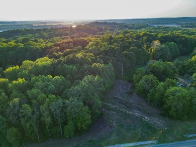 Land is ready for your future home or getaway! This conveniently - photo 9