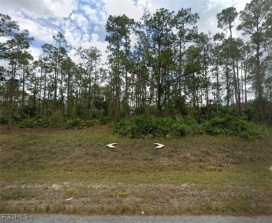 Lehigh Acres Area Lot For Sale in Lehigh Acres Florida