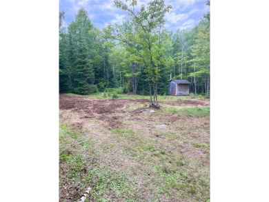 Lake Vermilion Acreage For Sale in Greenwood Twp Minnesota