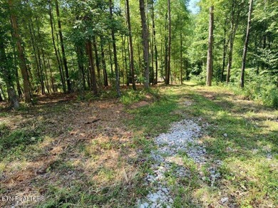 Almost 1000 ft of Road frontage this 6.98+/- acre parcel has - Lake Acreage For Sale in Harriman, Tennessee