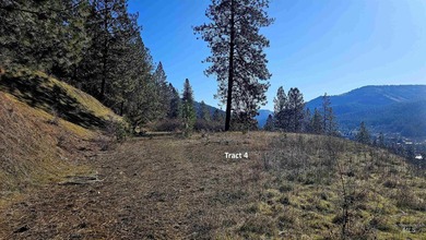 Rare opportunity to own three separate parcels offered together - photo 4
