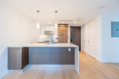 Luxury 2-bedroom, 2-bath residence in the heart of Flushing - photo 14