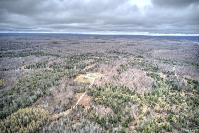 Lake Acreage For Sale in Trenary, Michigan