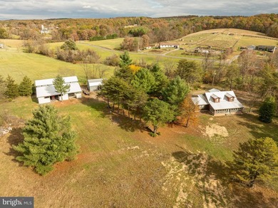 Almost 10 acres, room for Livestock. 3078 sq feet building with - photo 18