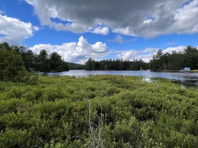 Goodnow Flow Lake Acreage For Sale in Newcomb New York