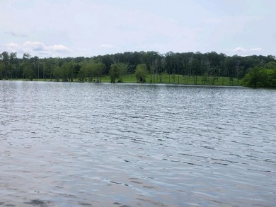 Discover Eagles Landing Estates, an upscale lakefront - photo 11