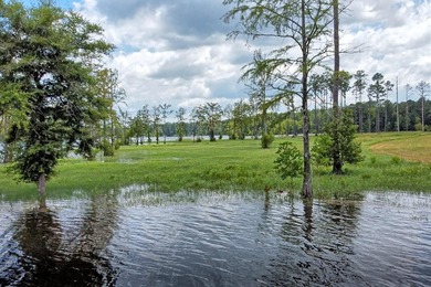 Discover Eagles Landing Estates, an upscale lakefront - photo 12