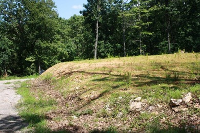 Additional listing photo 1