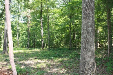 Additional listing photo 4
