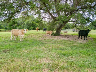 Family land, first time available for sale! Gorgeous natural and - photo 32