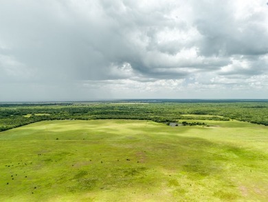 Family land, first time available for sale! Gorgeous natural and - photo 38