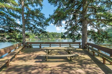 Experience the best of lake living with this beautifully updated - photo 44