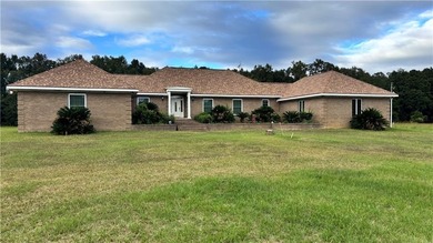 (private lake, pond, creek) Home For Sale in Vienna Georgia