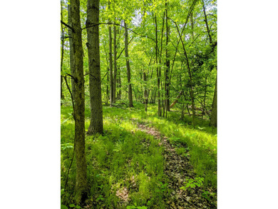 Wixom Lake Lot Active Under Contract in Beaverton Michigan