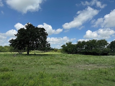 DRASTIC REDUCTION: Located just outside of Round Top (3.5 miles) - photo 11