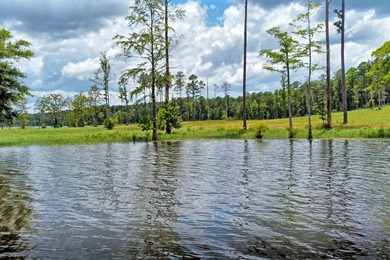 Discover Eagles Landing Estates, an upscale lakefront - photo 13