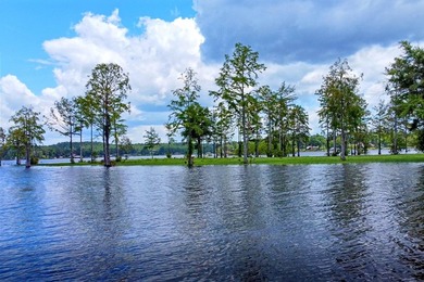 Discover Eagles Landing Estates, an upscale lakefront - photo 14