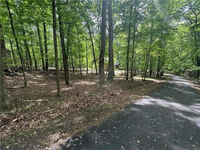 Lake Lot For Sale in Jasper, Georgia