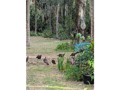 HUGE PRICE IMPROVEMENT! Welcome to a truly one-of-a-kind - photo 43