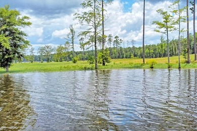 Discover Eagles Landing Estates, an upscale lakefront - photo 12