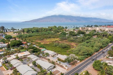 Aloha and welcome to 1156 S.Kihei Rd on the sunny south side of - photo 22