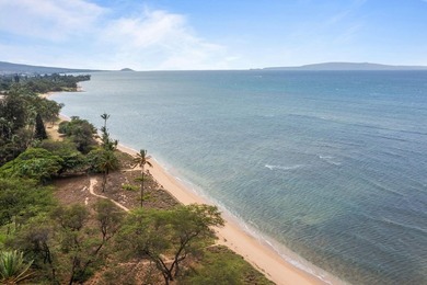 Aloha and welcome to 1156 S.Kihei Rd on the sunny south side of - photo 24