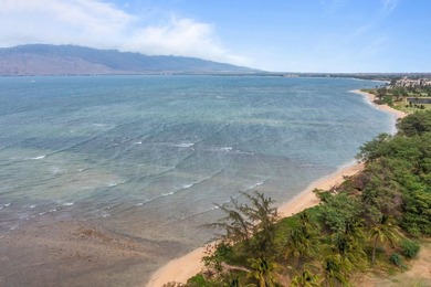 Aloha and welcome to 1156 S.Kihei Rd on the sunny south side of - photo 25