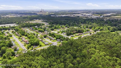 This adorable home in North Gulfport offers it all, with easy - photo 29
