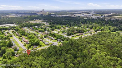 This adorable home in North Gulfport offers it all, with easy - photo 30