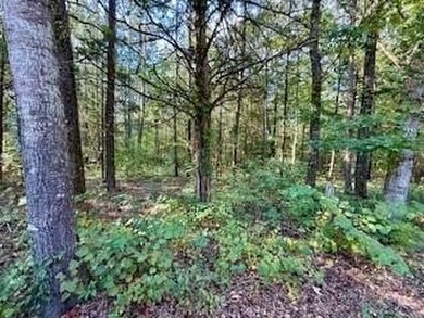 Are you looking for your own space to grow? Then look no more