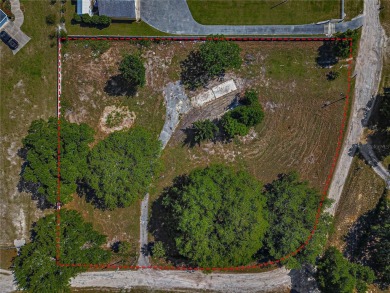Bowers Lake Lot For Sale in Belleview Florida
