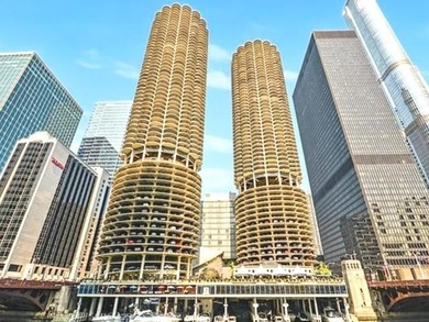 Lake Michigan - Cook County Condo For Sale in Chicago Illinois