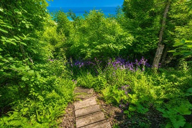 Wake up to breathtaking sunrises & sweeping views of Lake - photo 11