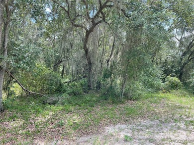 AWESOME LAKE FRONT PROPERTY ON A BIT MORE THAN 1/2 ACRE (0.52 - photo 11