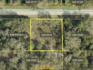 Lehigh Acres Area Lot For Sale in Lehigh Acres Florida