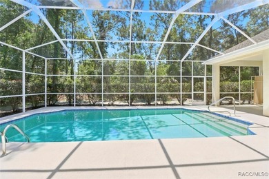 Immaculate Custom Pool Home in Sugarmill Woods - Move-In Ready! - photo 30