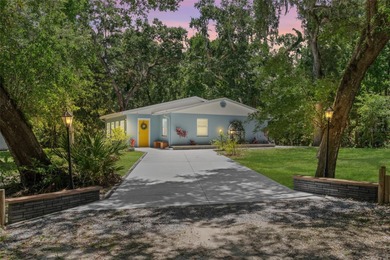 Tsala Apopka Chain of Lakes Home Sale Pending in Inverness Florida