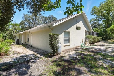 Immaculate Custom Pool Home in Sugarmill Woods - Move-In Ready! - photo 31