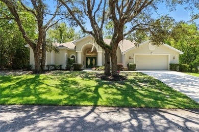 Immaculate Custom Pool Home in Sugarmill Woods - Move-In Ready! - photo 33