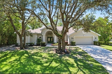 Immaculate Custom Pool Home in Sugarmill Woods - Move-In Ready! - photo 35
