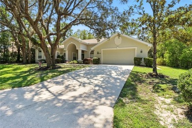 Immaculate Custom Pool Home in Sugarmill Woods - Move-In Ready! - photo 36