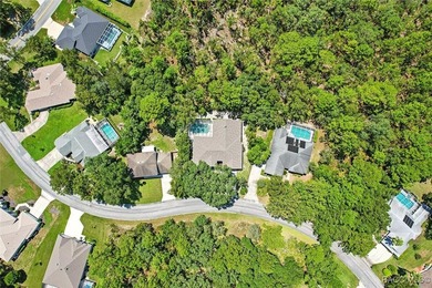 Immaculate Custom Pool Home in Sugarmill Woods - Move-In Ready! - photo 38