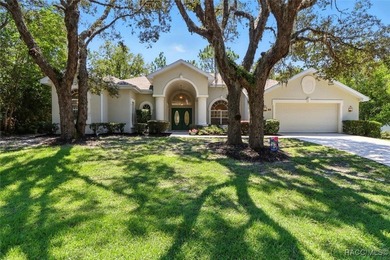 Immaculate Custom Pool Home in Sugarmill Woods - Move-In Ready! - photo 40