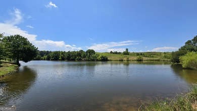 (private lake, pond, creek) Acreage For Sale in Musella Georgia