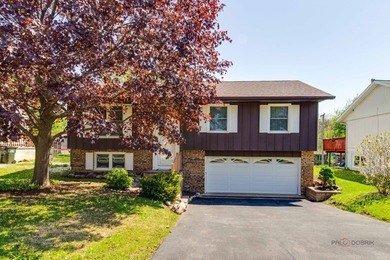 Woods Creek Lake Home For Sale in Lake In The Hills Illinois