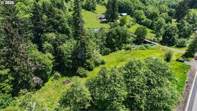 Rare opportunity to own two separate legal building lots - photo 11