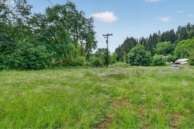 Rare opportunity to own two separate legal building lots - photo 12