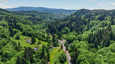 Rare opportunity to own two separate legal building lots - photo 14