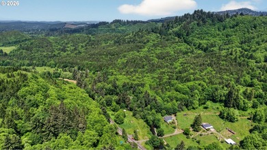 Rare opportunity to own two separate legal building lots - photo 16