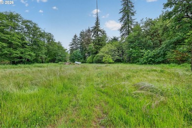 Rare opportunity to own two separate legal building lots - photo 19